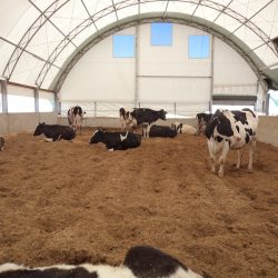 halisahacadiri-hangarcadiri-santiyecadiri-depocadiri-solucangübrecadiri-kümescadiri-mantarcadiri (10)