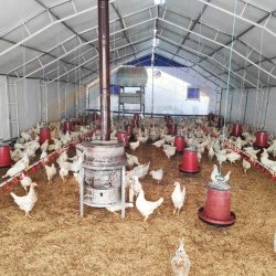 halisahacadiri-hangarcadiri-santiyecadiri-depocadiri-solucangübrecadiri-kümescadiri-mantarcadiri (9)